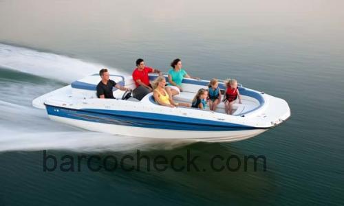 Bayliner 197 Deck Boat ficha tecnica 